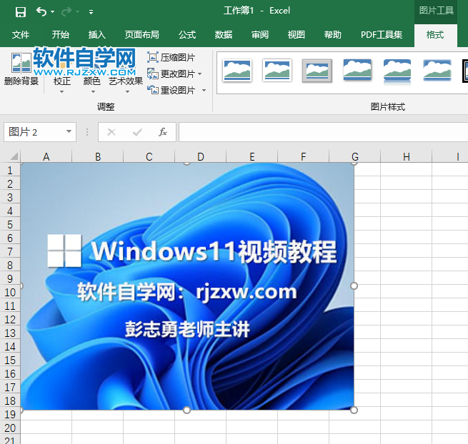 EXCEL2019怎么插入图片