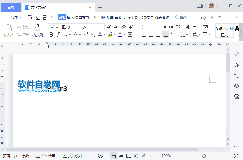 WPS2022怎么在文本行上方创建小字符