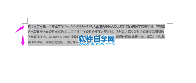 word2019怎么快速选择全文内容