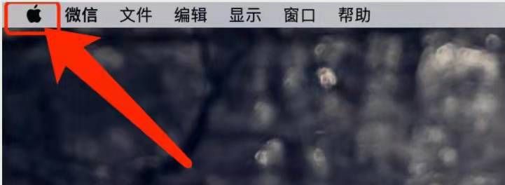 电脑macOS系统显卡怎么看