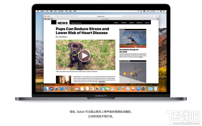 苹果macOS High Sierra存在什么漏洞?