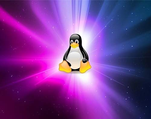 适合新手用的linux版本