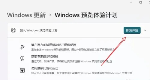 win12内测申请