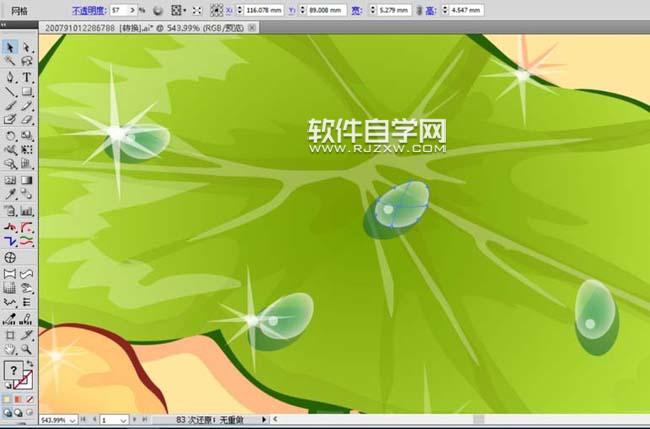 ai怎么绘制荷叶与荷花