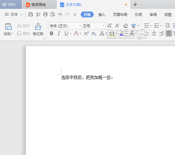 wps文本中怎么加粗字体
