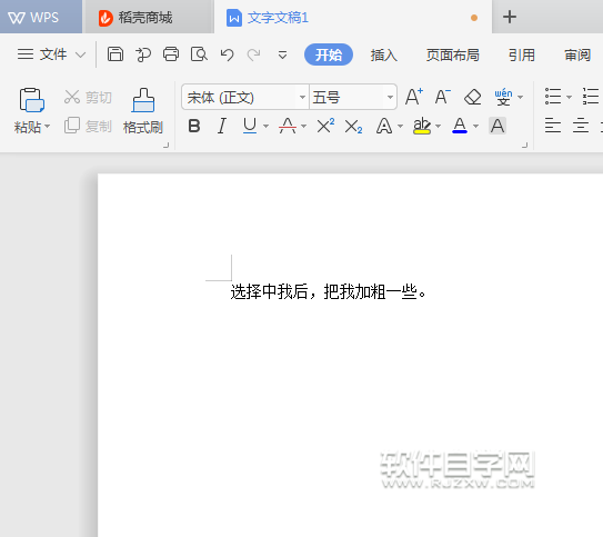 wps文本中怎么加粗字体
