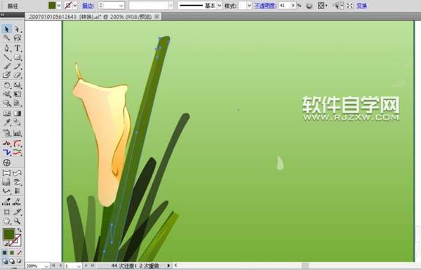 ai怎么画马蹄莲花束图片