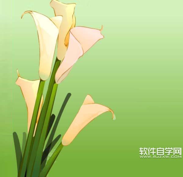 ai怎么画马蹄莲花束图片