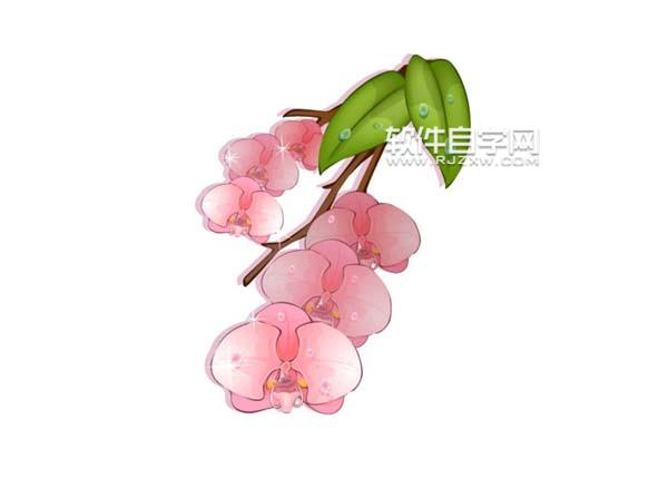 ai怎么画蝴蝶兰素材