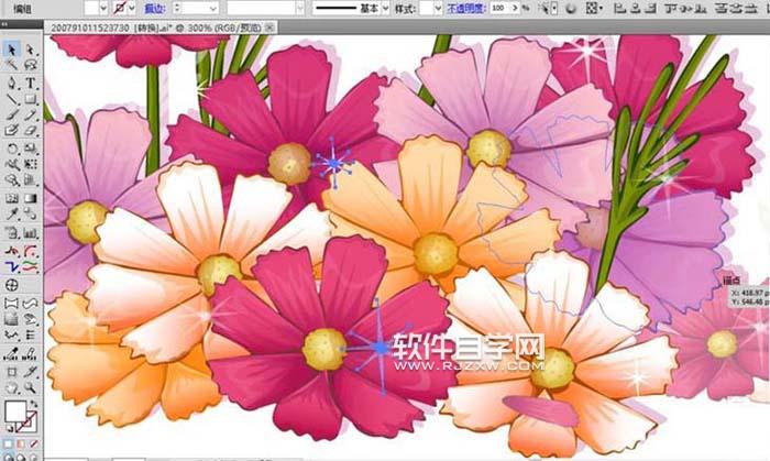 用AI设计波斯菊画法
