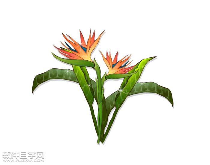 ai怎么绘制天堂鸟花