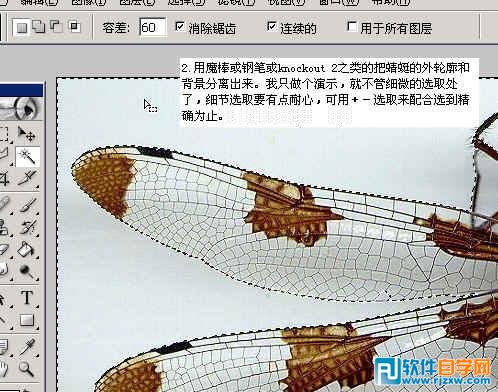 怎样用ps换背景颜色