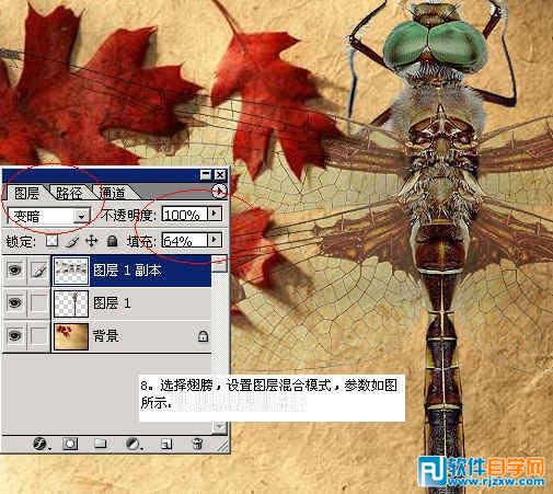 怎样用ps换背景颜色