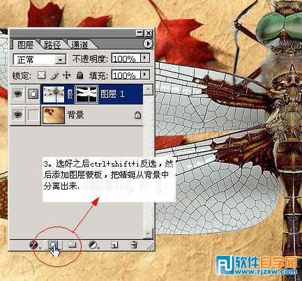 怎样用ps换背景颜色