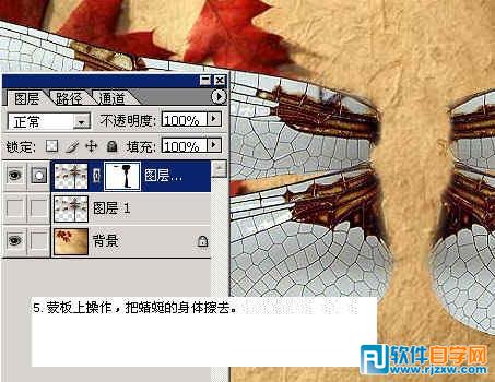 怎样用ps换背景颜色