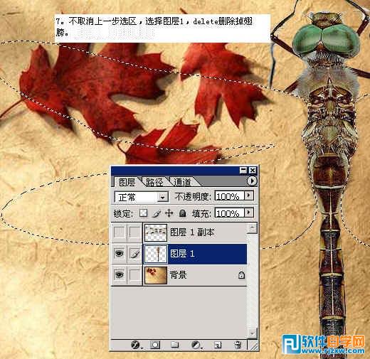 怎样用ps换背景颜色