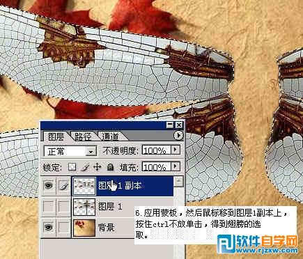 怎样用ps换背景颜色