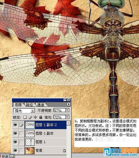 怎样用ps换背景颜色