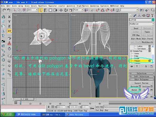 3dmax玫瑰花模型 制作讲解