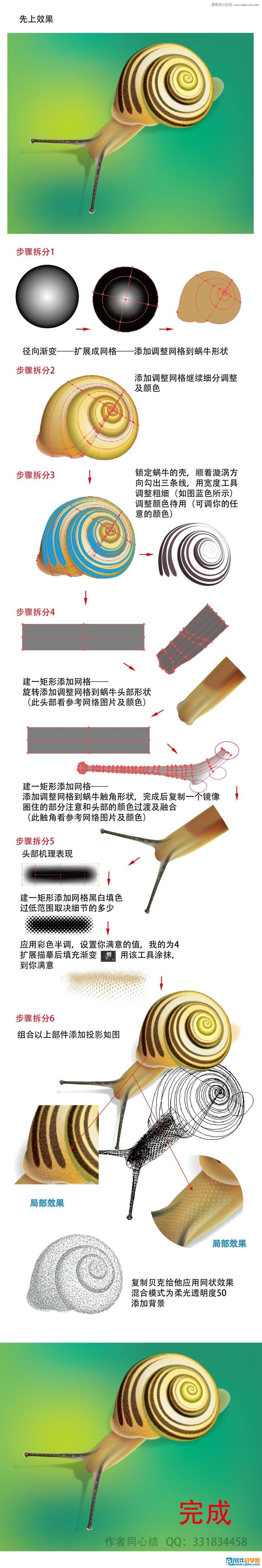 ai绘制卡通 蜗牛教程