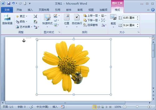用Word 2010去除图片背景方法介绍