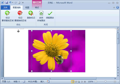 用Word 2010去除图片背景方法介绍