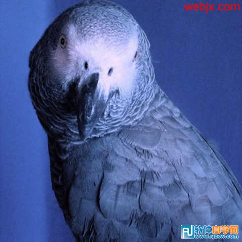 用PS画笔制作多彩边框