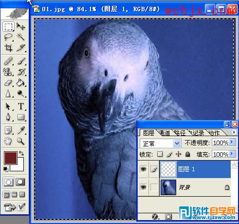 用PS画笔制作多彩边框
