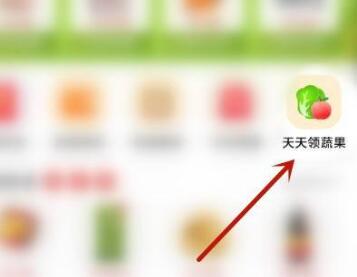 多多买菜签到在哪里