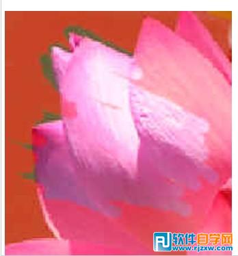第十课:PS利用快速蒙板抠图