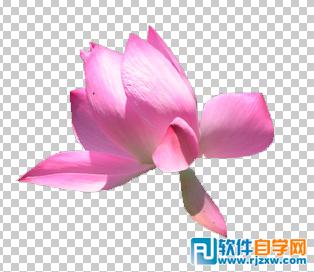 第十课:PS利用快速蒙板抠图
