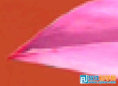 第十课:PS利用快速蒙板抠图