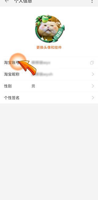 淘宝会员名怎么改第二次