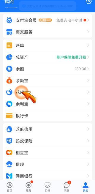 花呗怎么看全年账单