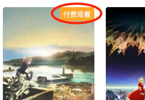哔哩哔哩大会员有什么用