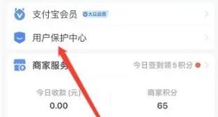 支付宝开启大额保护在哪设置