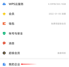 如何用WPS文档创建企业