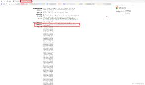 谷歌浏览器怎样保存书签