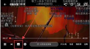 坚果视频app如何设置中文字幕